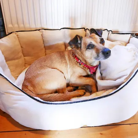 Mein Blockhaus Casa de Férias Hasselberg (Schleswig-Holstein)